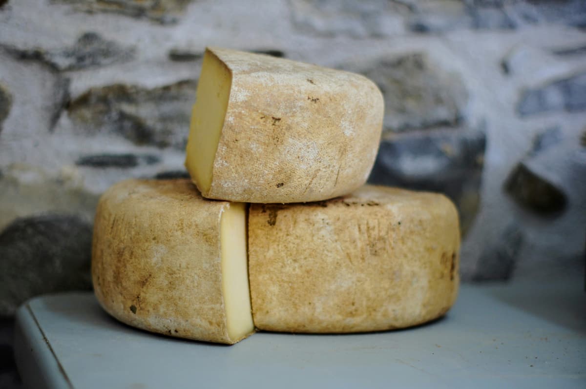 Key Differences Between Hard Cheese and Soft Cheese – A Quick Guide!